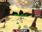 blog06011902.jpg