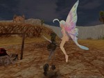 blog06020301.jpg