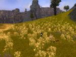 blog06032412.jpg